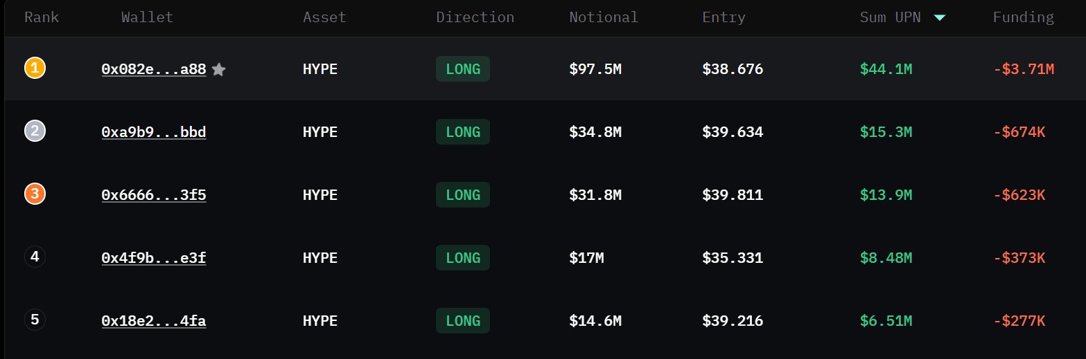 Top HYPE whale positions